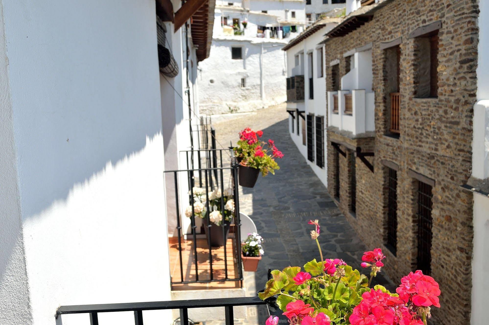 Hotel Rural Alfajia De Antonio 카피레이라 외부 사진